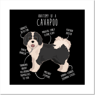 Parti Cavapoo Dog Anatomy Posters and Art
